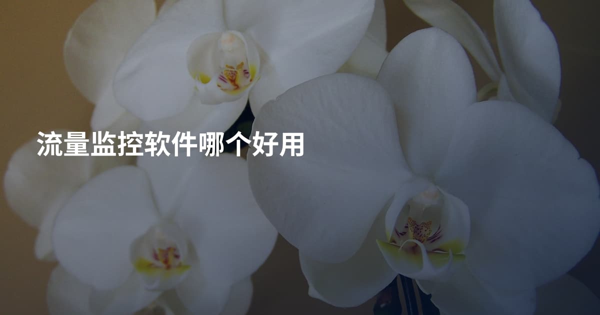 流量监控软件哪个好用