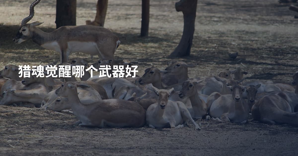 猎魂觉醒哪个武器好