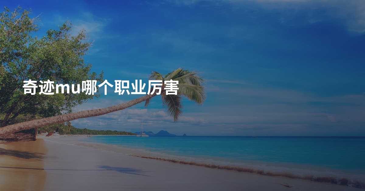 奇迹mu哪个职业厉害