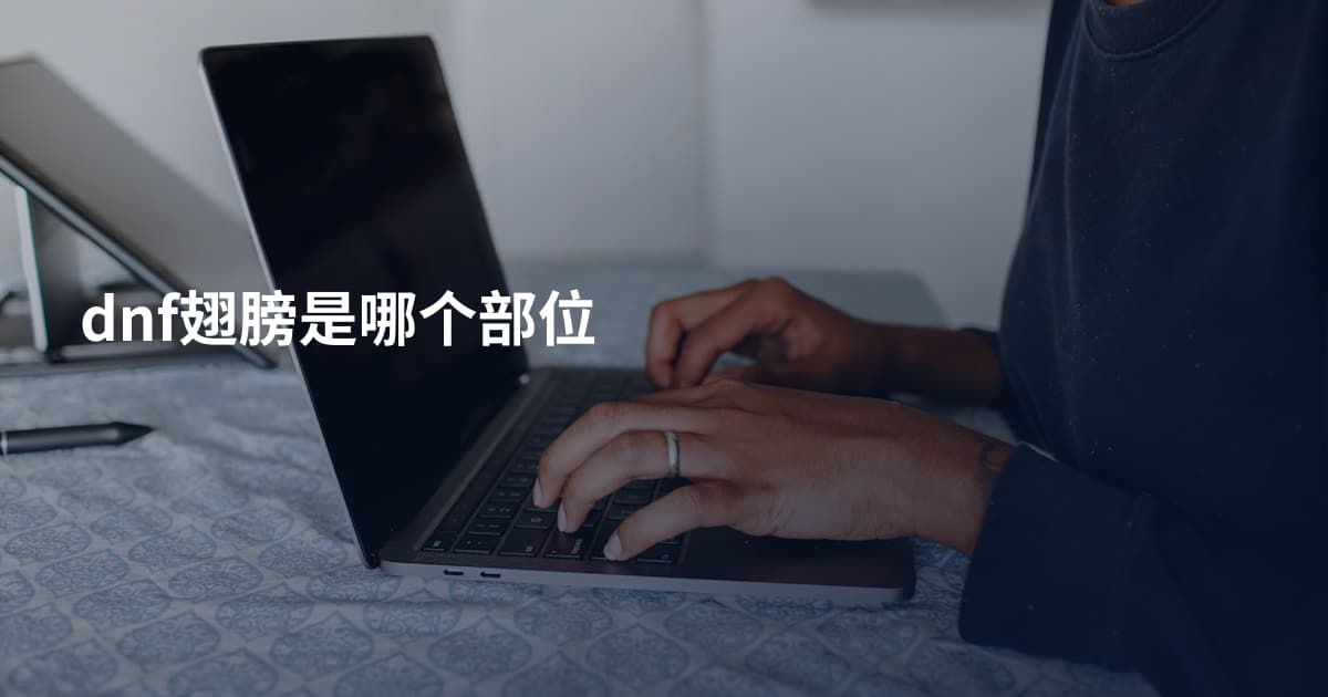 dnf翅膀是哪个部位