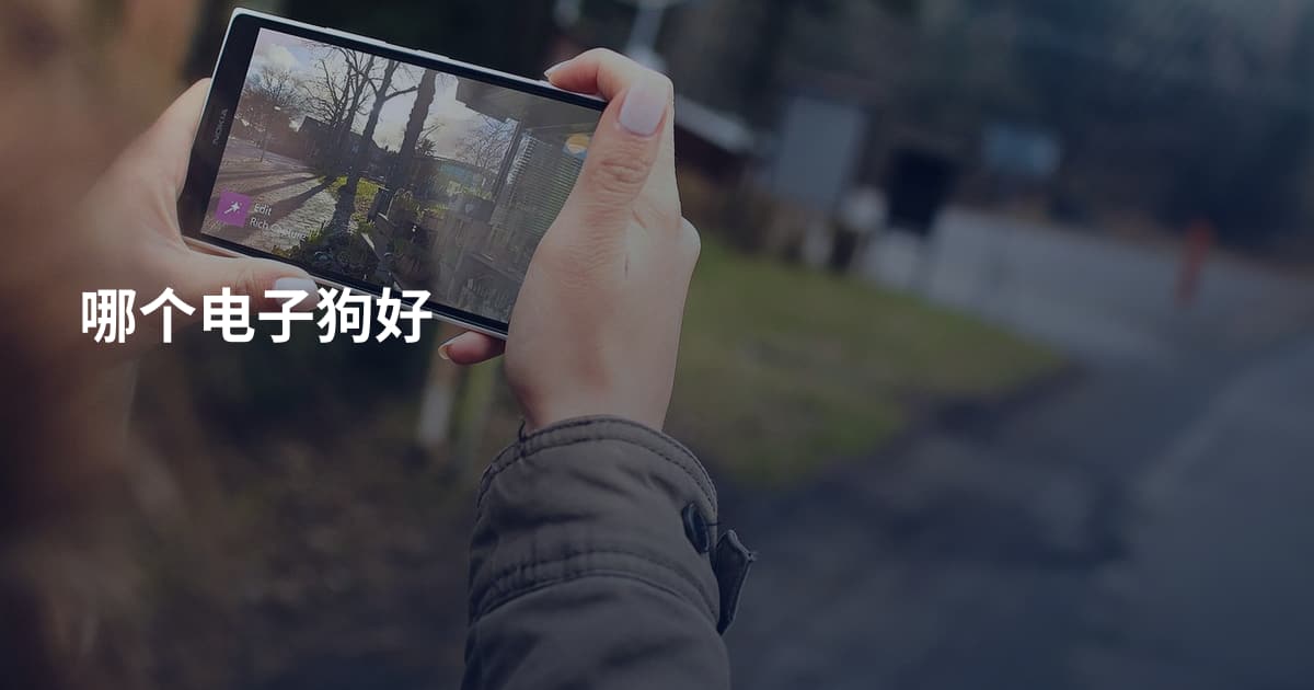 哪个电子狗好