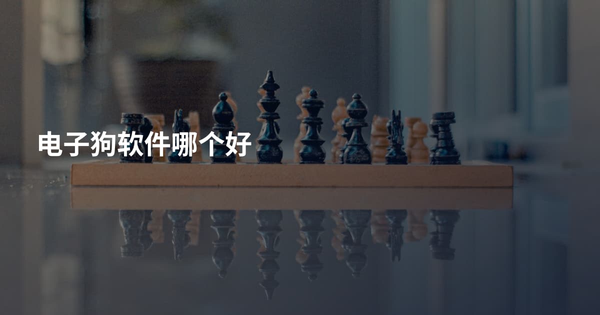 电子狗软件哪个好
