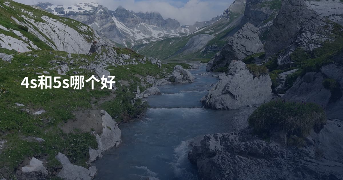 4s和5s哪个好