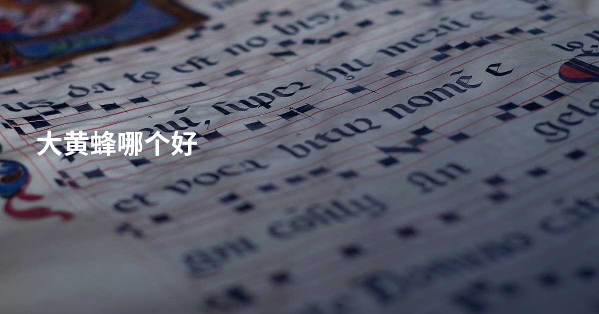 大黄蜂哪个好