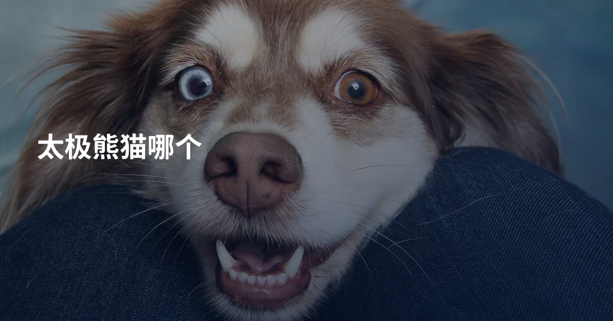 太极熊猫哪个