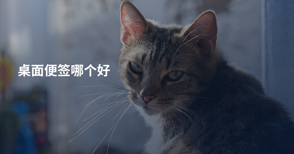 桌面便签哪个好
