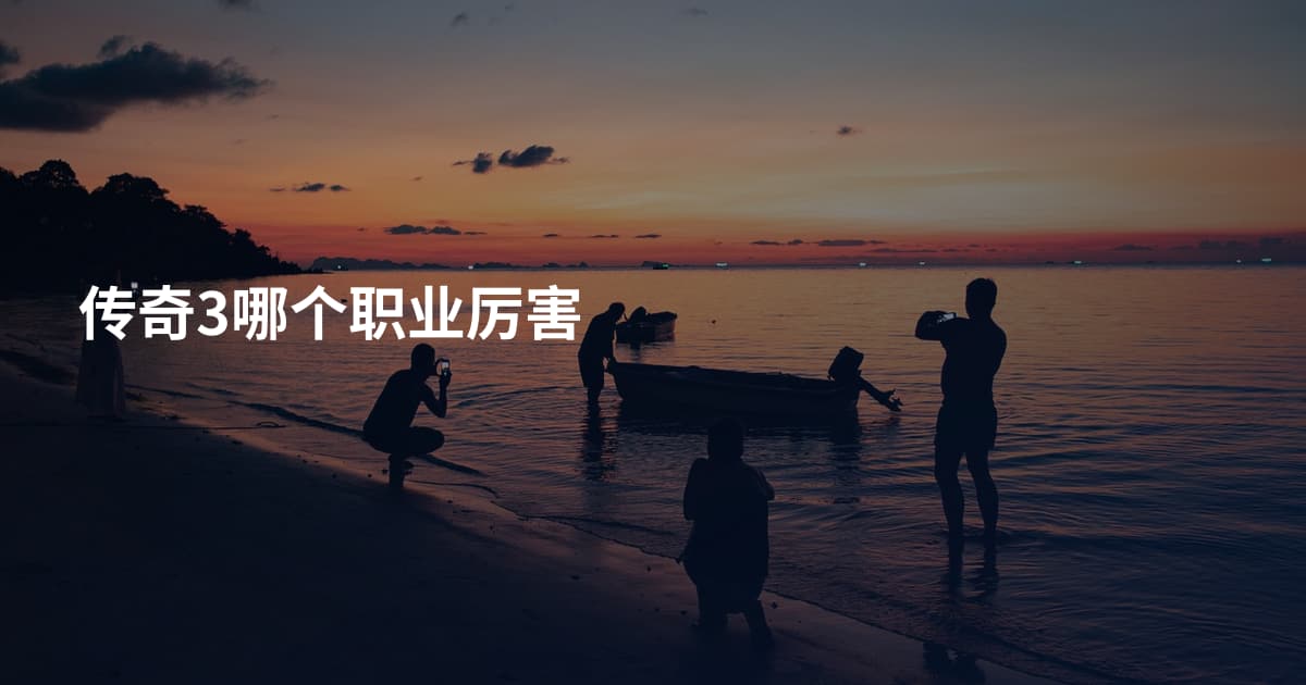 传奇3哪个职业厉害