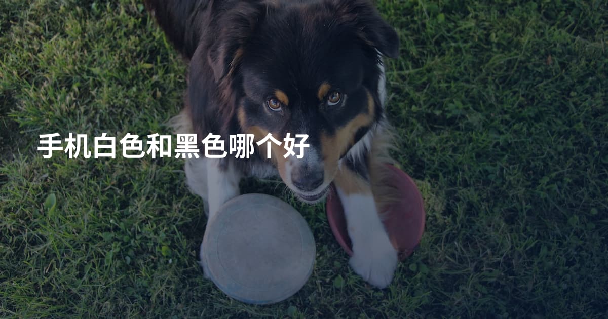 手机白色和黑色哪个好