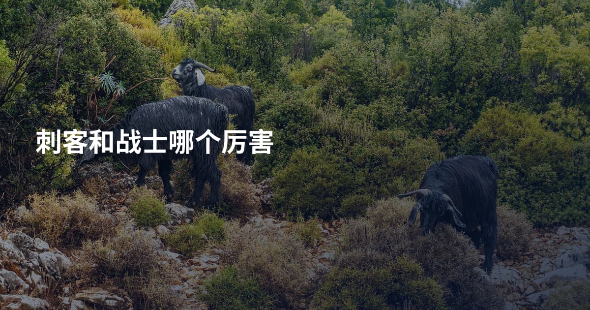刺客和战士哪个厉害