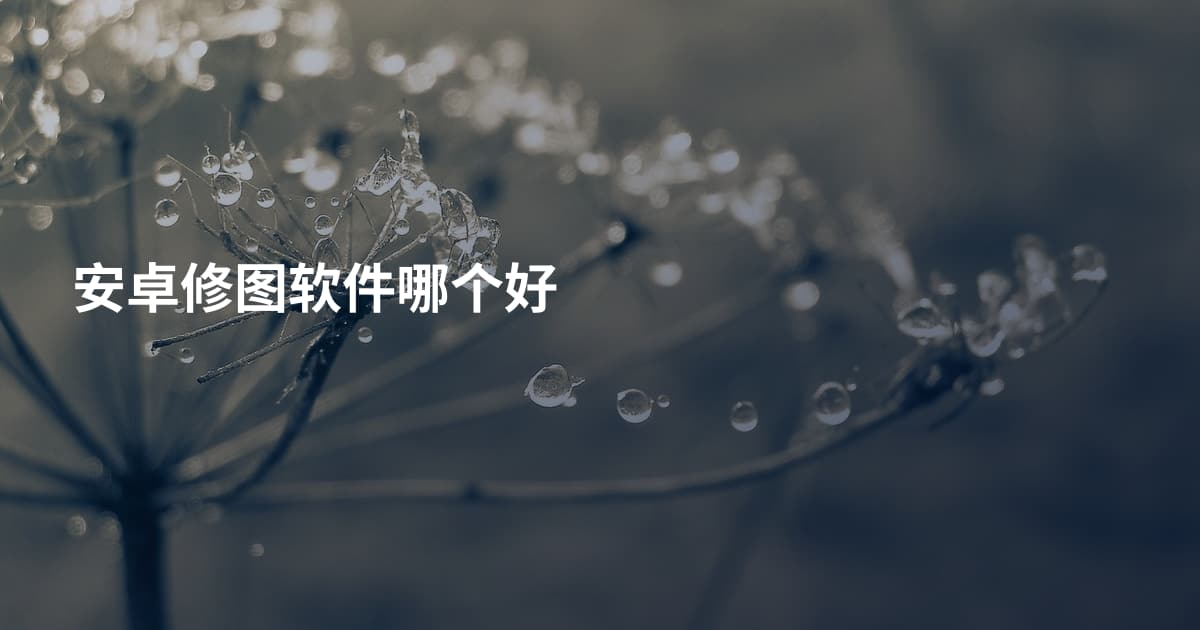 安卓修图软件哪个好