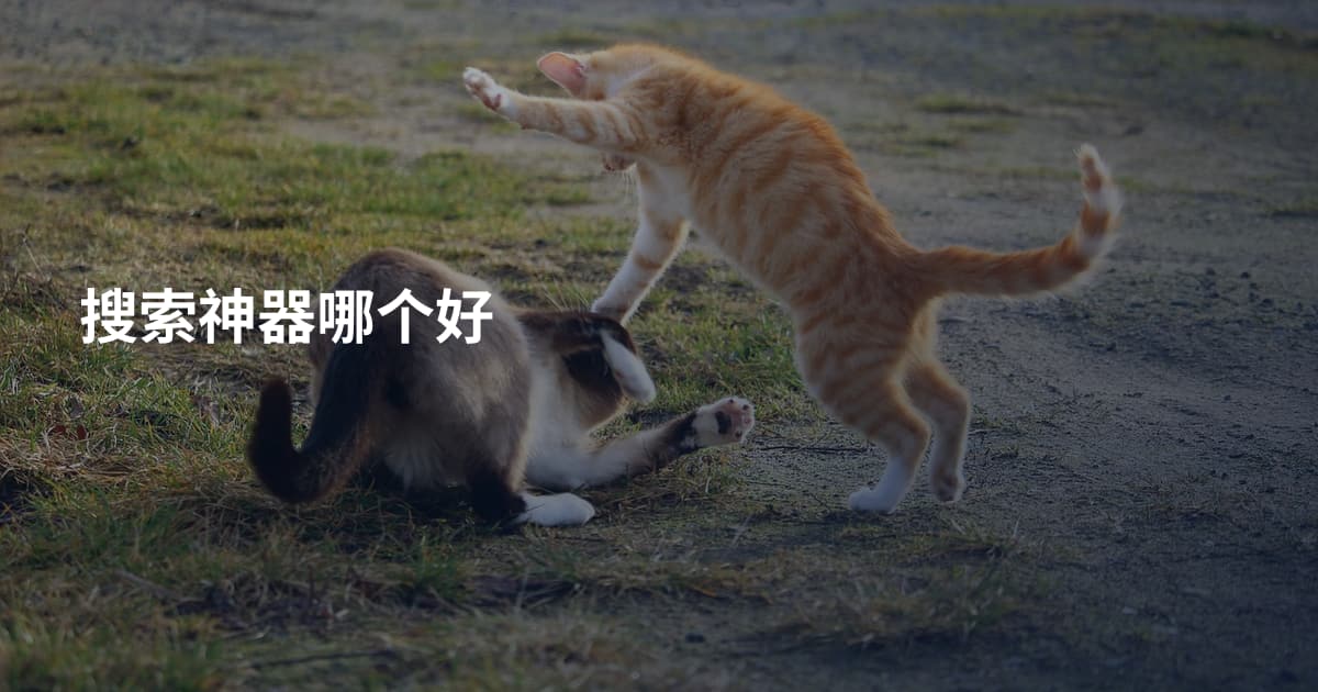 搜索神器哪个好
