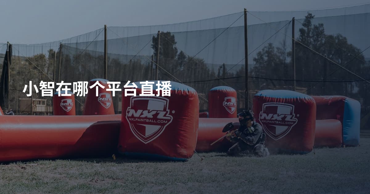 小智在哪个平台直播