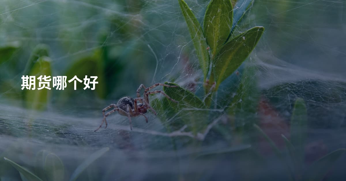 期货哪个好