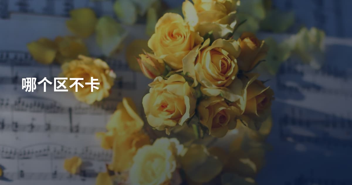 哪个区不卡