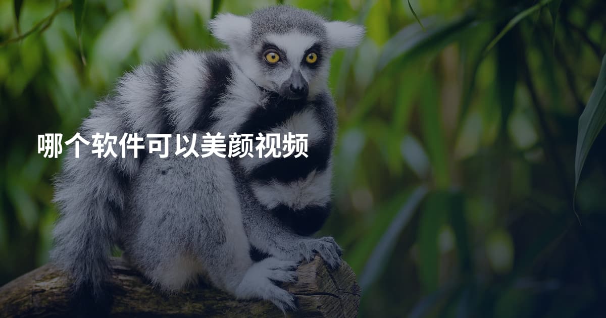 哪个软件可以美颜视频