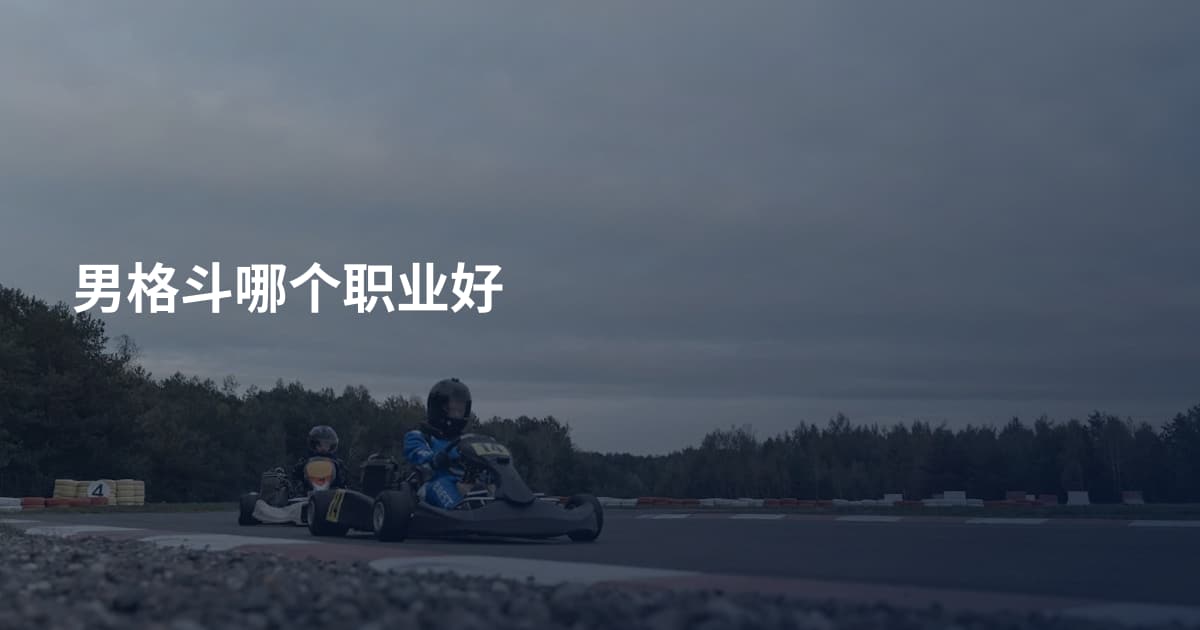 男格斗哪个职业好