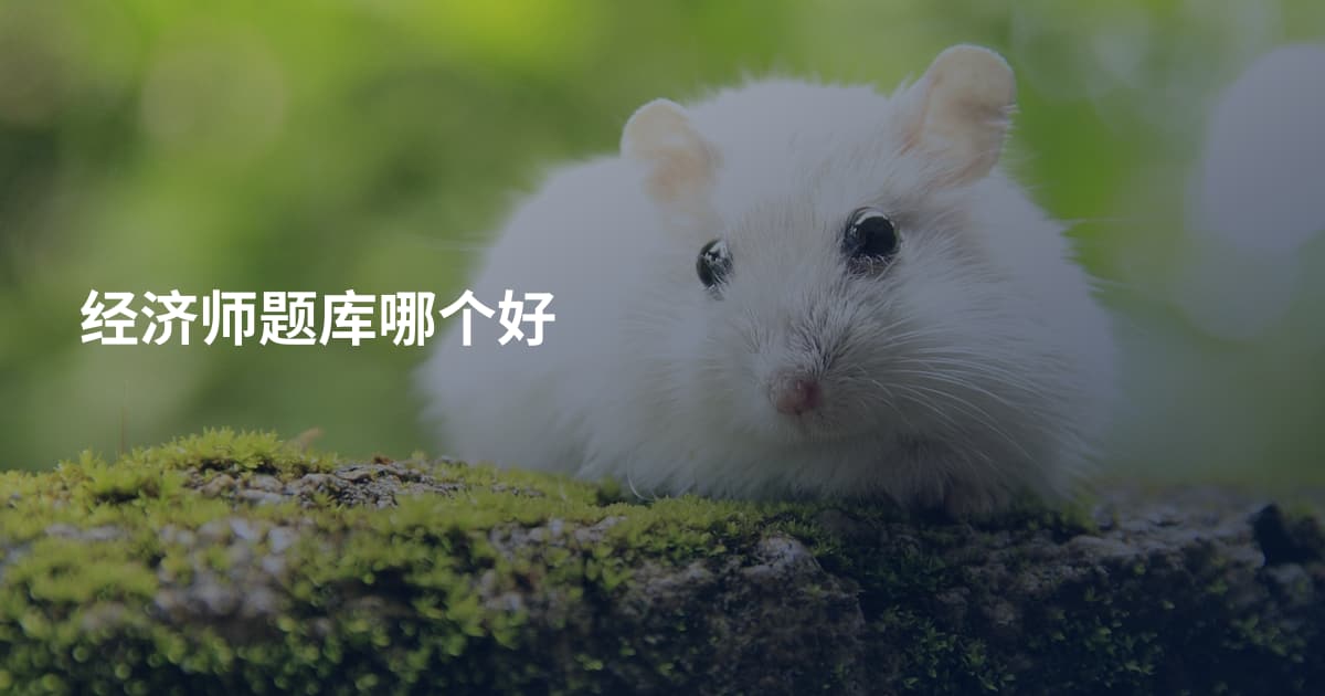经济师题库哪个好