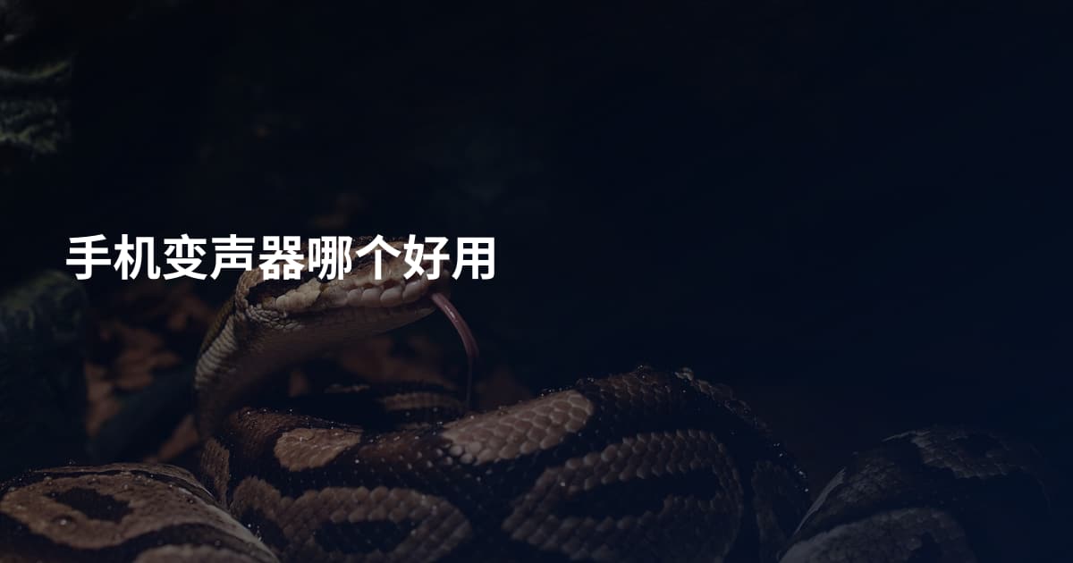 手机变声器哪个好用