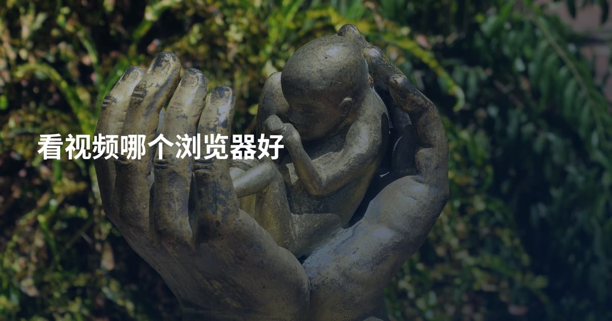 看视频哪个浏览器好