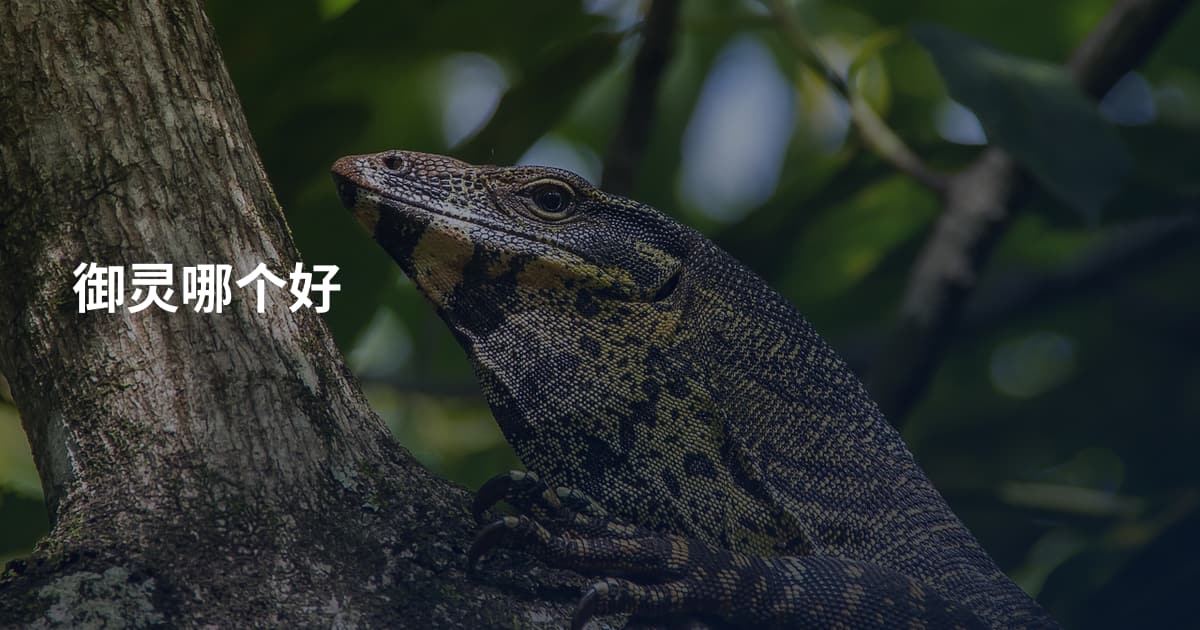 御灵哪个好