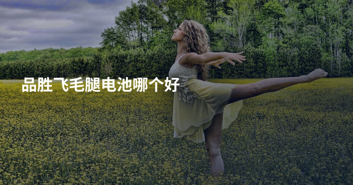 品胜飞毛腿电池哪个好