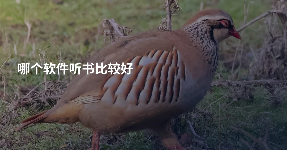哪个软件听书比较好