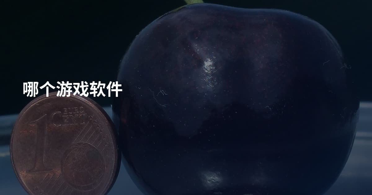 哪个游戏软件