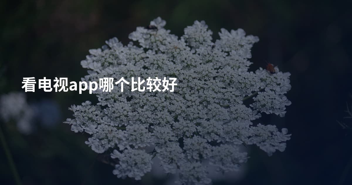 看电视app哪个比较好
