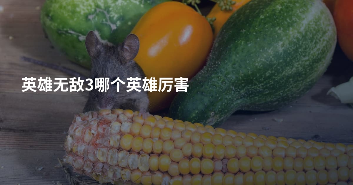 英雄无敌3哪个英雄厉害
