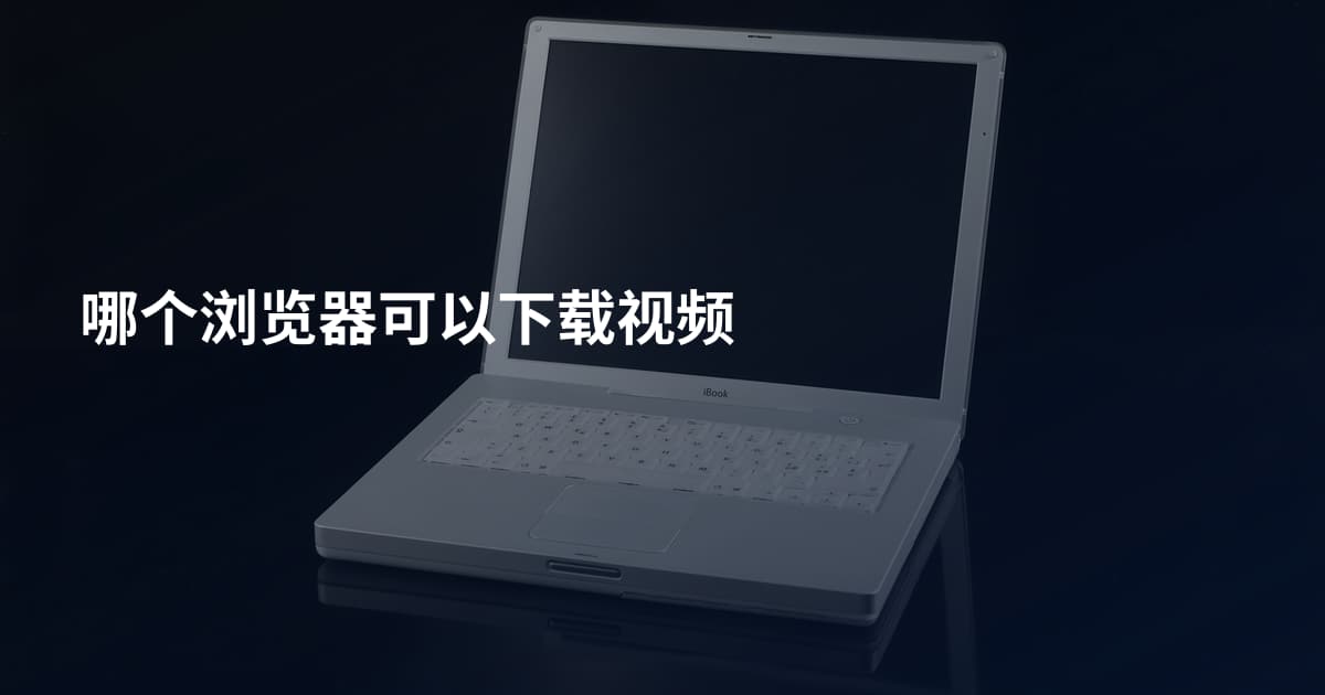 哪个浏览器可以下载视频
