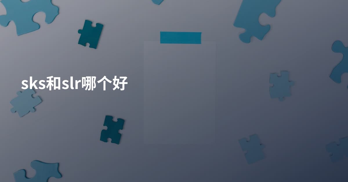 sks和slr哪个好