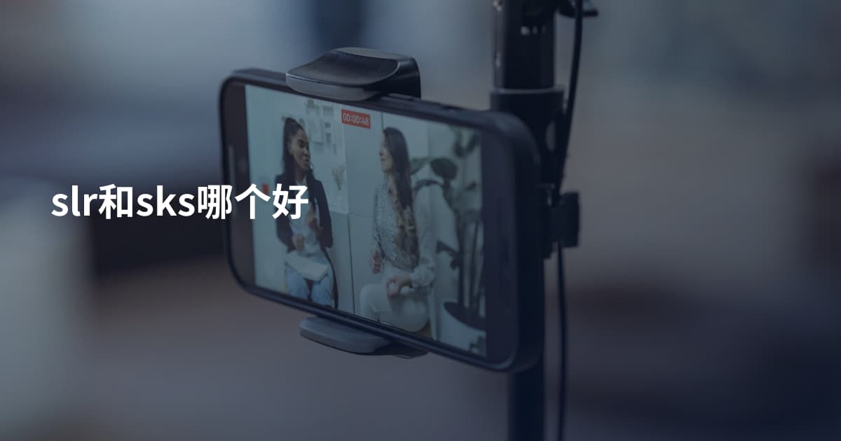 slr和sks哪个好