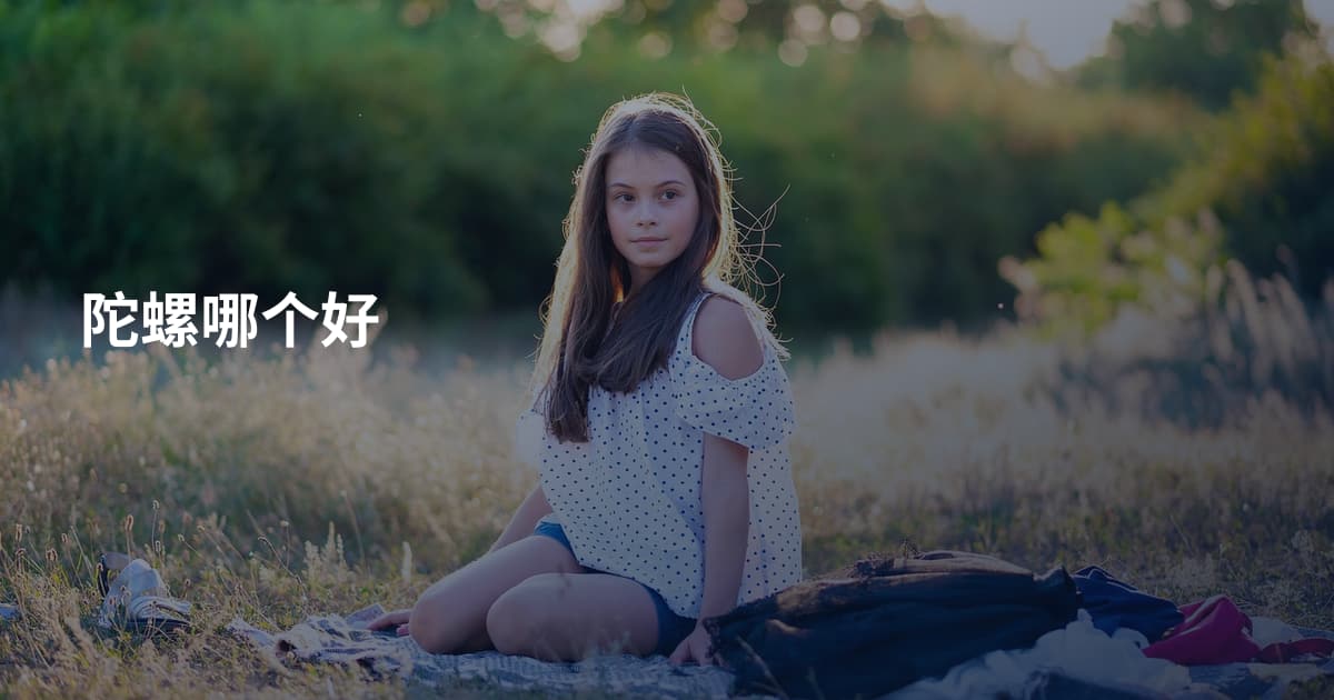 陀螺哪个好