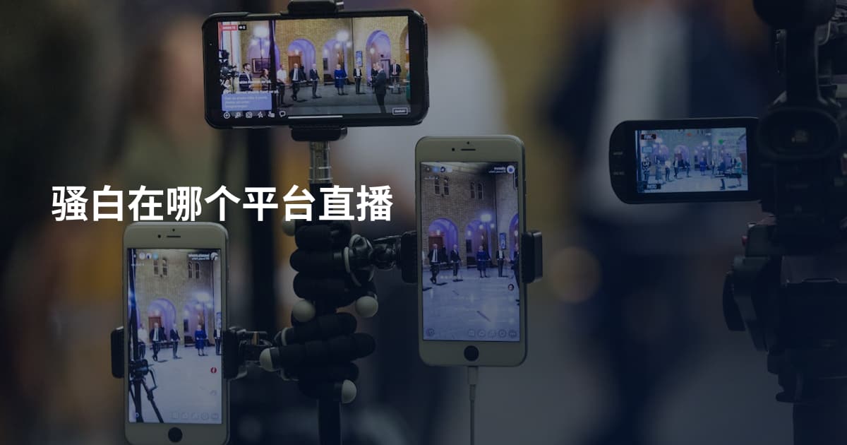 骚白在哪个平台直播