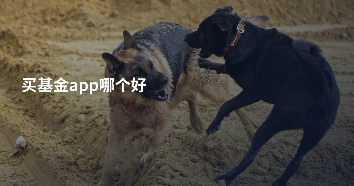 买基金app哪个好
