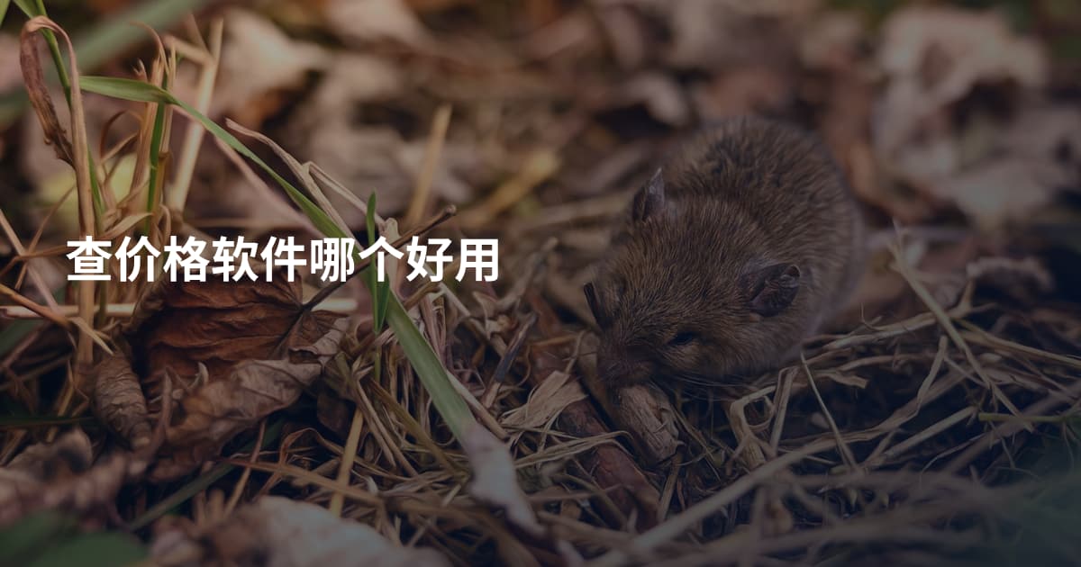 查价格软件哪个好用
