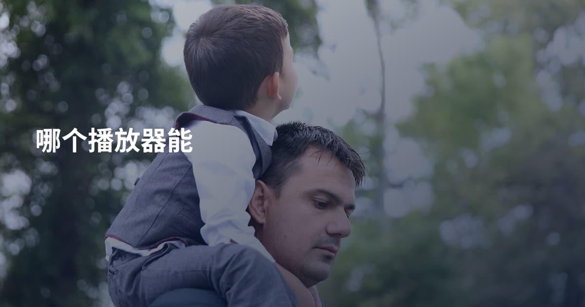 哪个播放器能