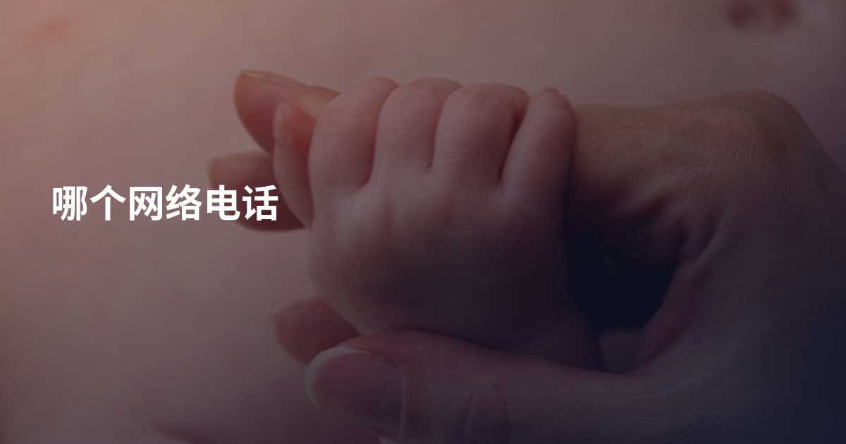 哪个网络电话