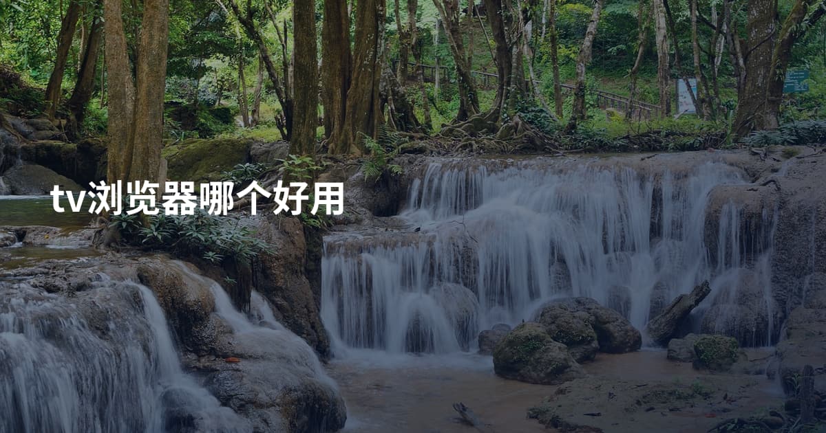 tv浏览器哪个好用