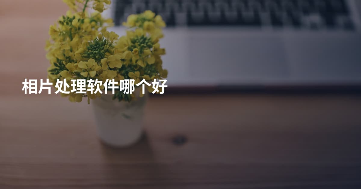 相片处理软件哪个好