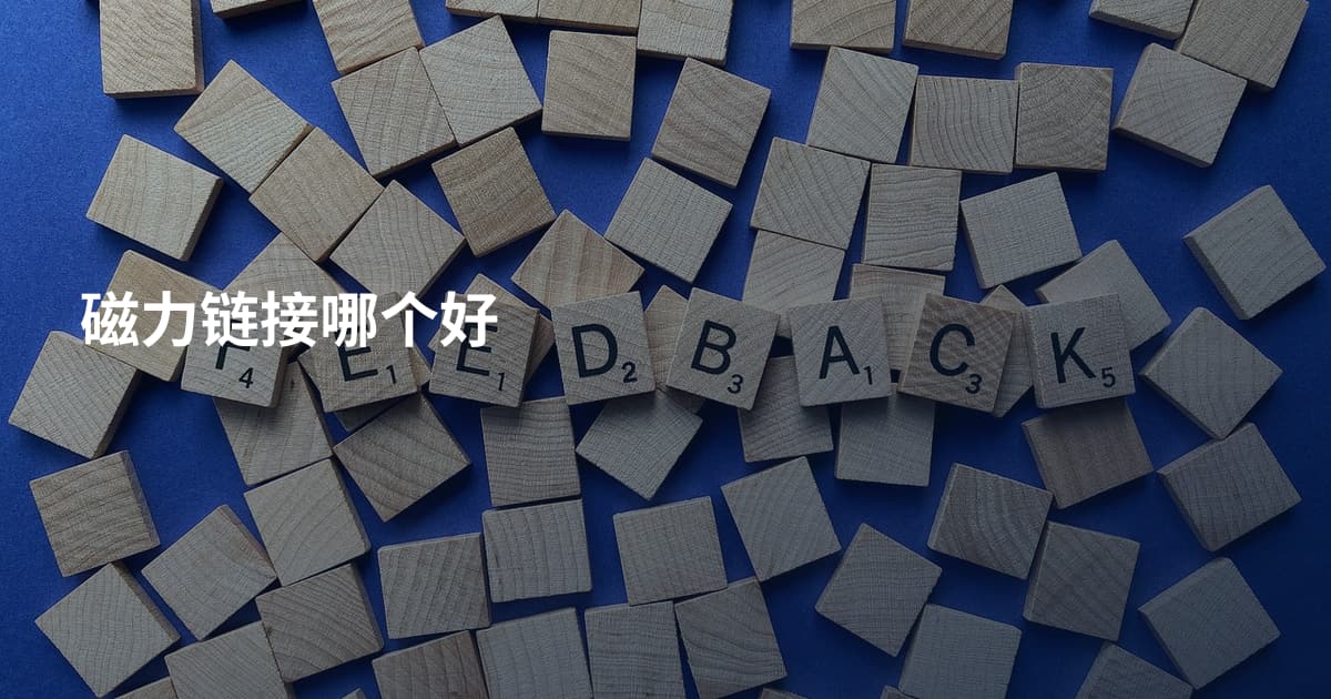 磁力链接哪个好