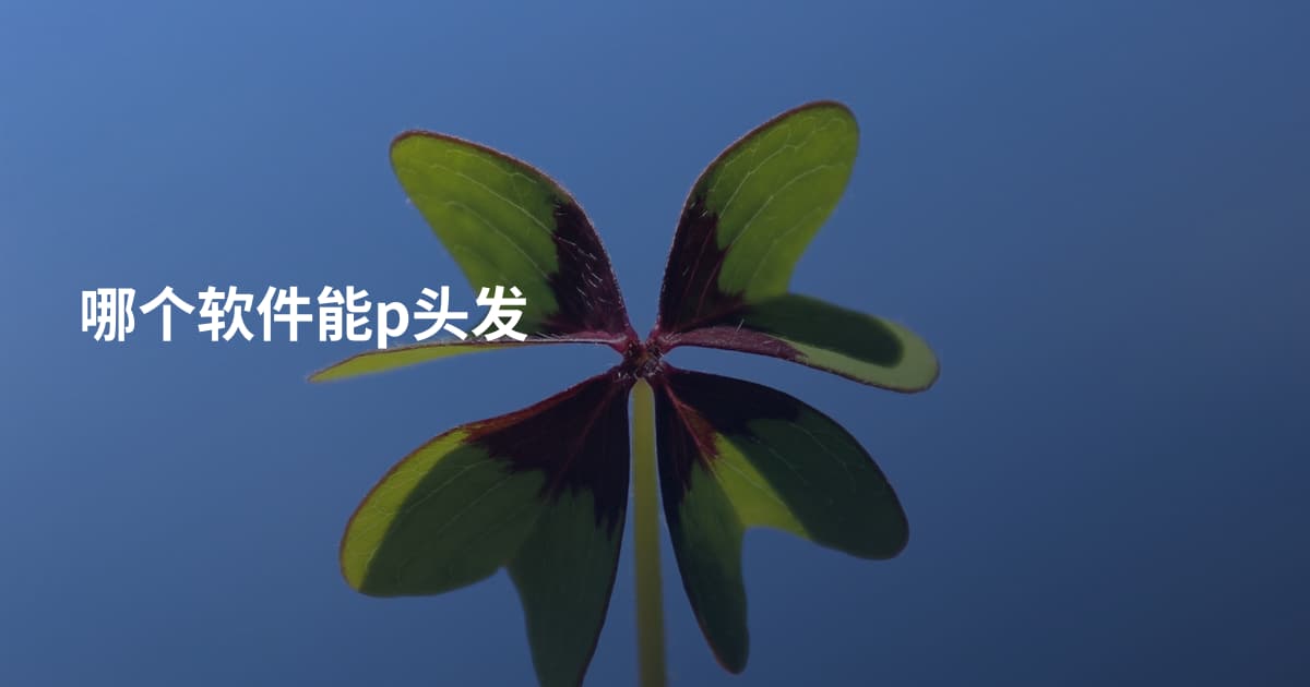 哪个软件能p头发