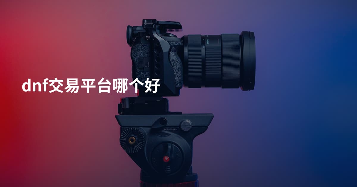 dnf交易平台哪个好