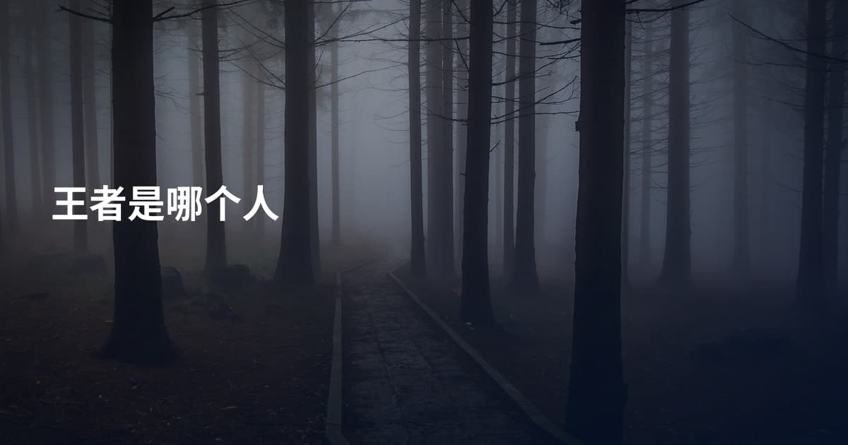 王者是哪个人