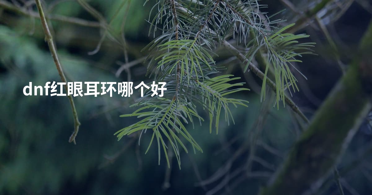dnf红眼耳环哪个好
