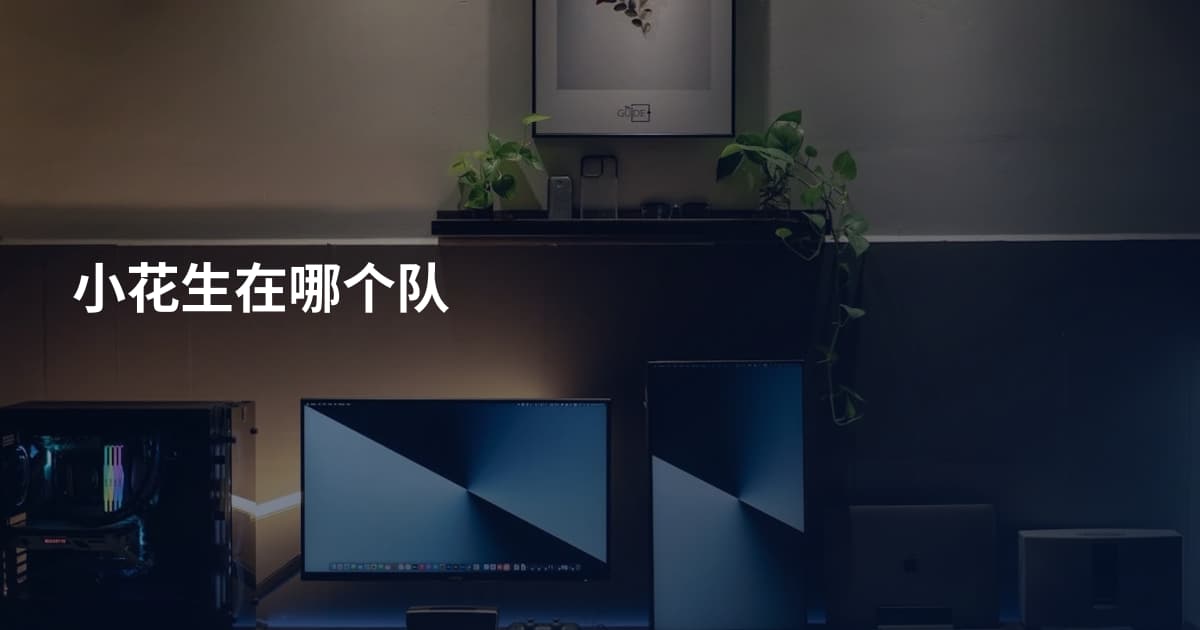小花生在哪个队