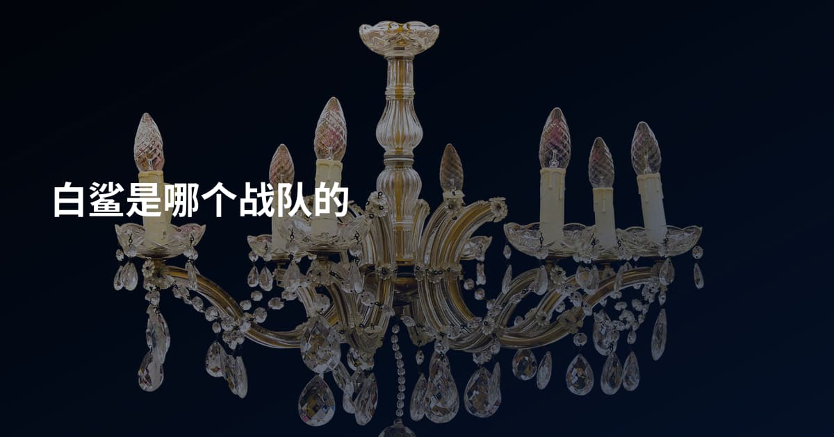 白鲨是哪个战队的