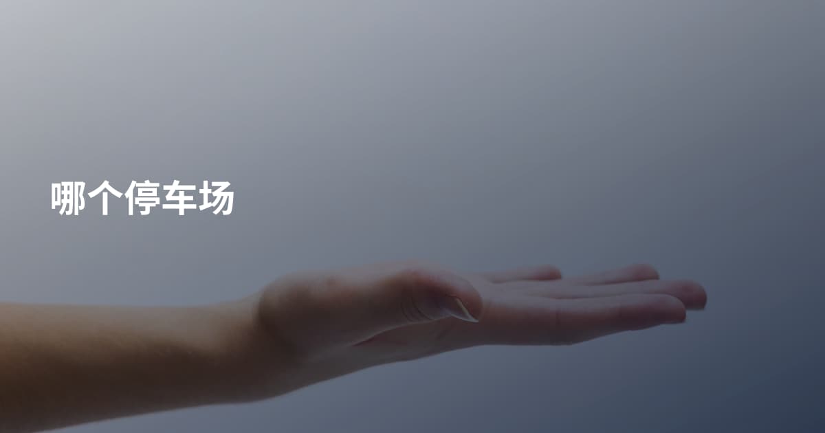 哪个停车场