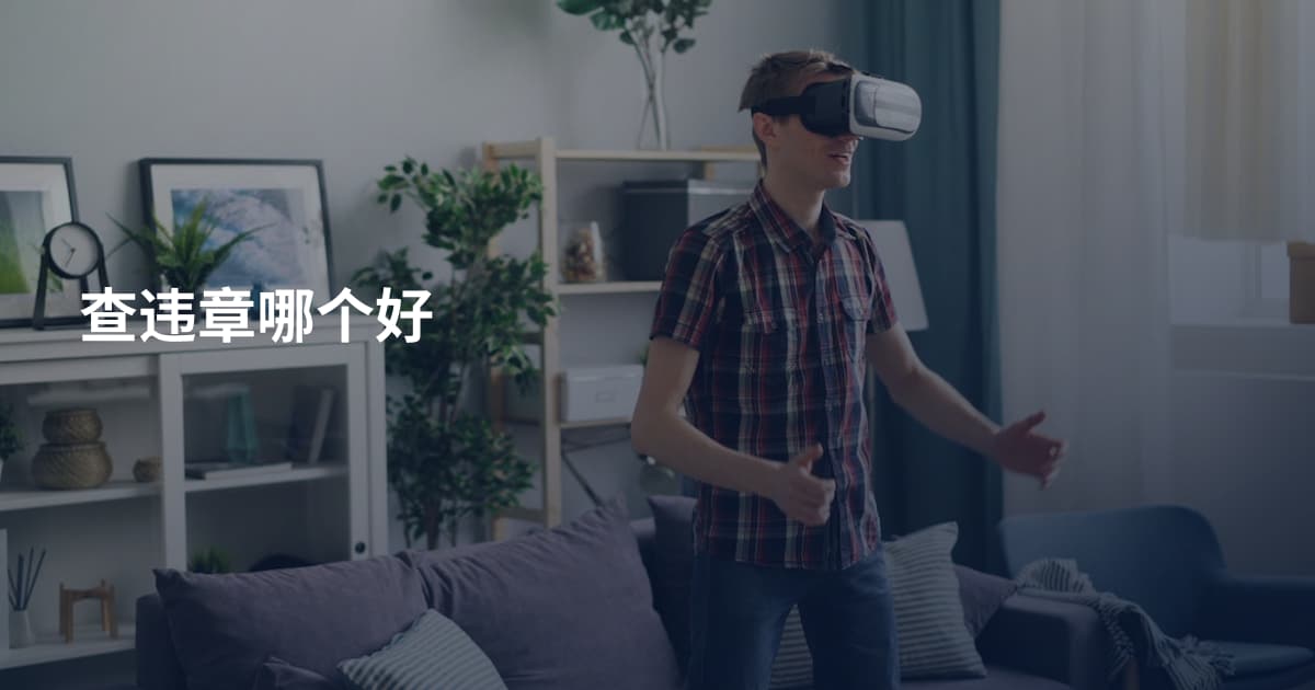 查违章哪个好