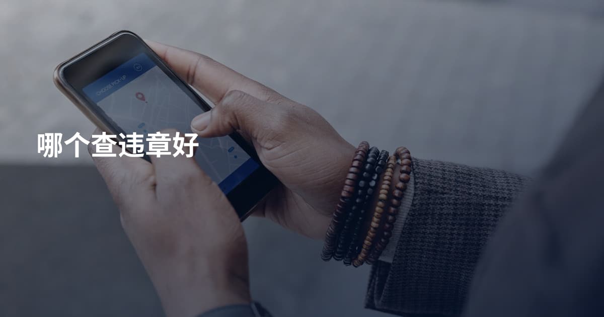 哪个查违章好
